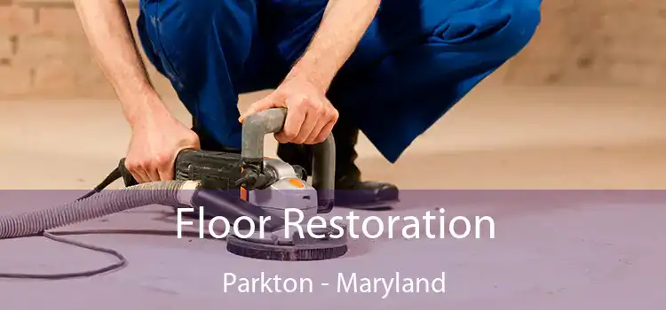 Floor Restoration Parkton - Maryland