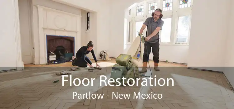 Floor Restoration Partlow - New Mexico