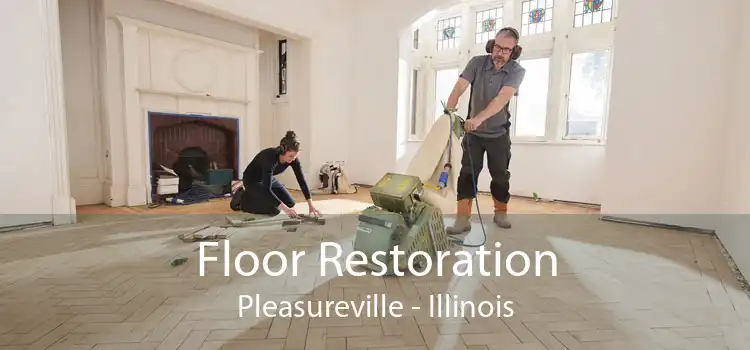 Floor Restoration Pleasureville - Illinois