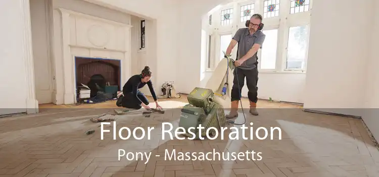 Floor Restoration Pony - Massachusetts
