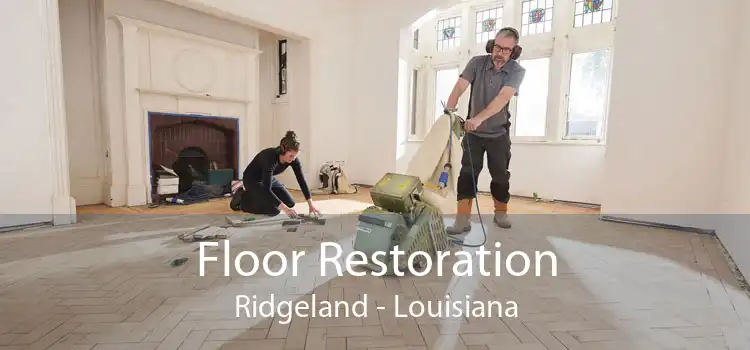 Floor Restoration Ridgeland - Louisiana