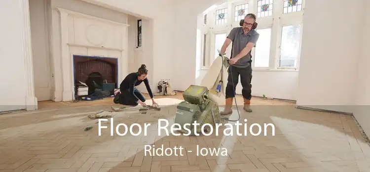 Floor Restoration Ridott - Iowa