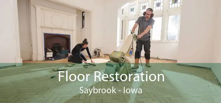 Floor Restoration Saybrook - Iowa