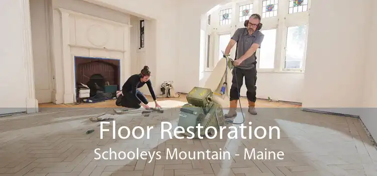 Floor Restoration Schooleys Mountain - Maine