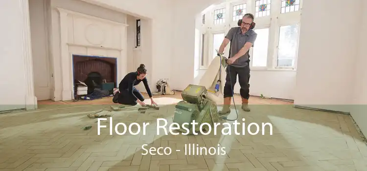 Floor Restoration Seco - Illinois