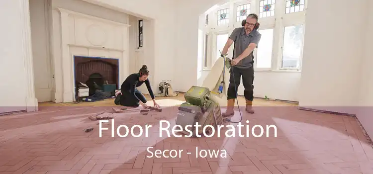 Floor Restoration Secor - Iowa