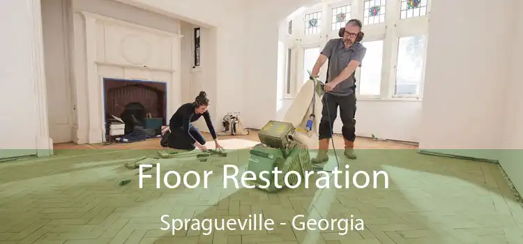 Floor Restoration Spragueville - Georgia