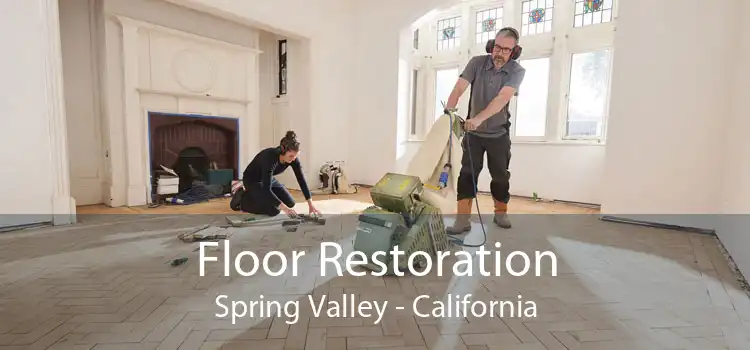Floor Restoration Spring Valley - California