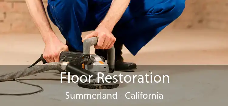 Floor Restoration Summerland - California