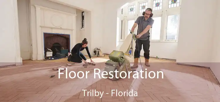 Floor Restoration Trilby - Florida