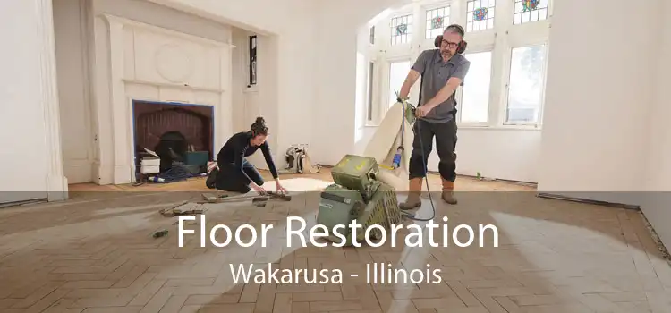 Floor Restoration Wakarusa - Illinois