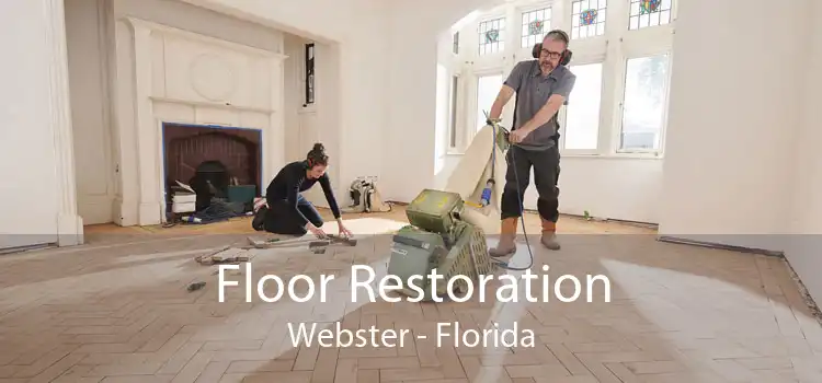 Floor Restoration Webster - Florida