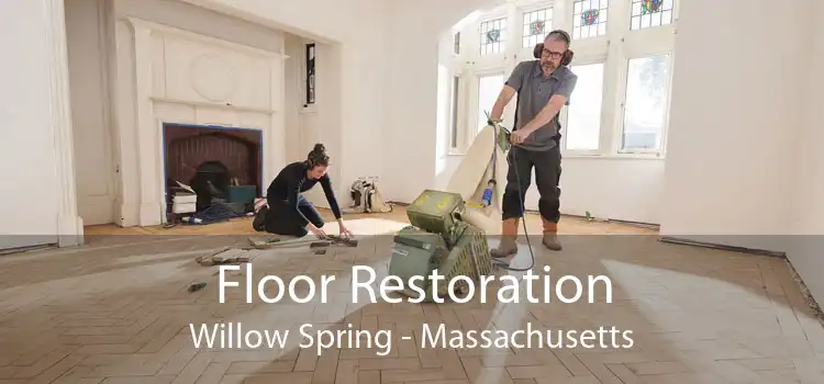 Floor Restoration Willow Spring - Massachusetts