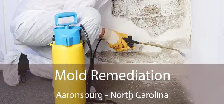 Mold Remediation Aaronsburg - North Carolina