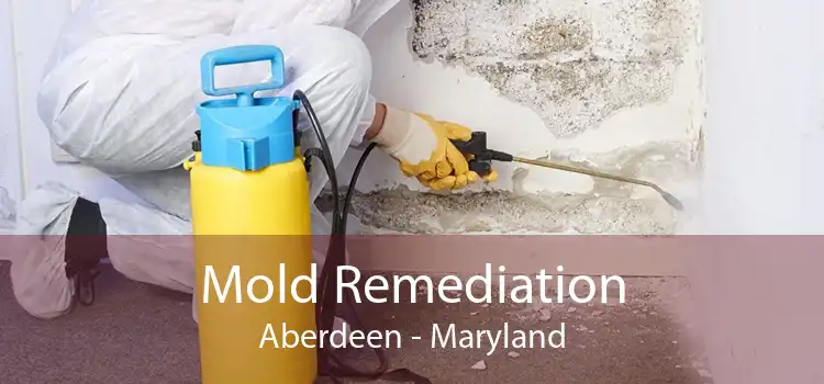 Mold Remediation Aberdeen - Maryland