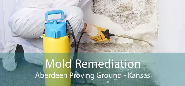 Mold Remediation Aberdeen Proving Ground - Kansas
