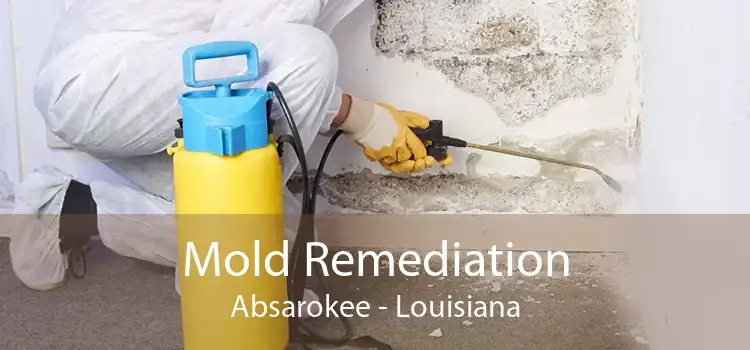 Mold Remediation Absarokee - Louisiana