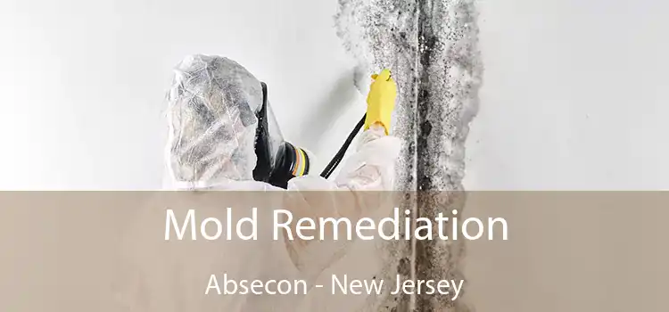 Mold Remediation Absecon - New Jersey