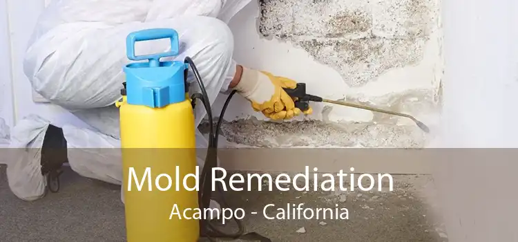 Mold Remediation Acampo - California