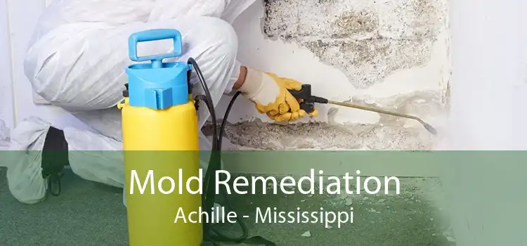 Mold Remediation Achille - Mississippi