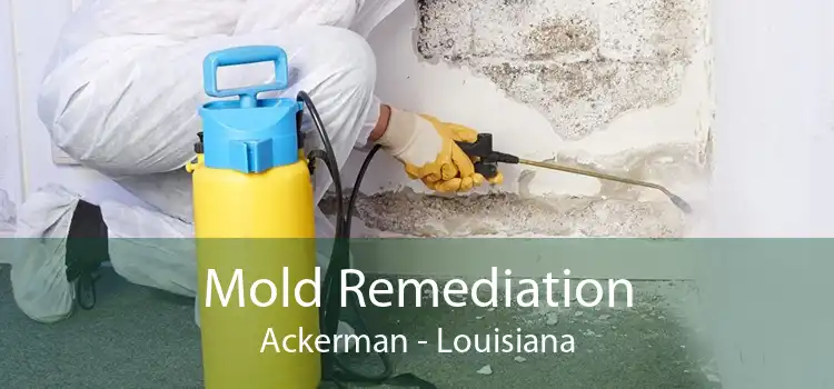 Mold Remediation Ackerman - Louisiana