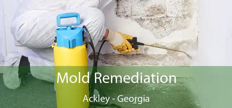 Mold Remediation Ackley - Georgia