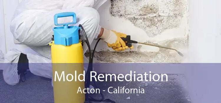 Mold Remediation Acton - California