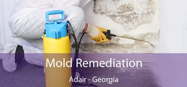 Mold Remediation Adair - Georgia