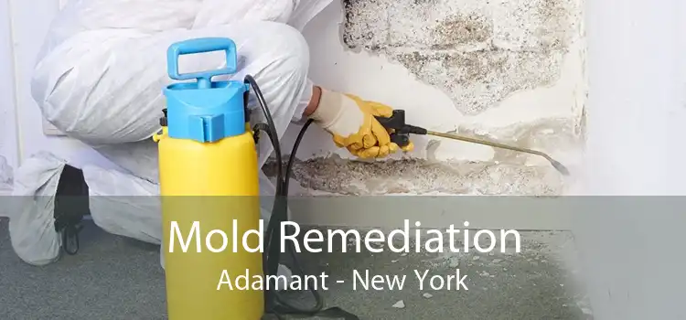 Mold Remediation Adamant - New York