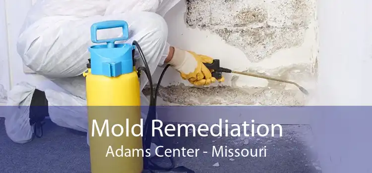 Mold Remediation Adams Center - Missouri