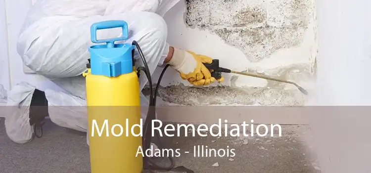 Mold Remediation Adams - Illinois