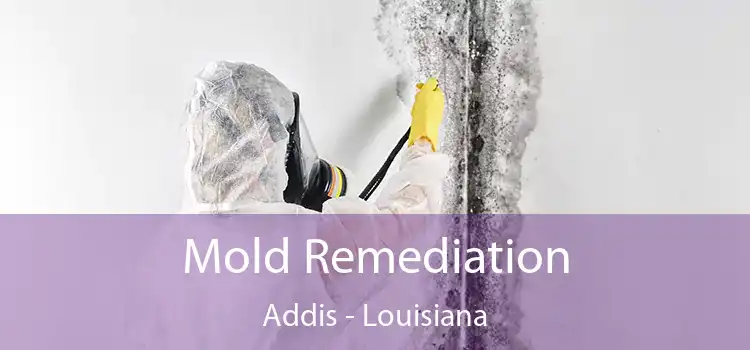 Mold Remediation Addis - Louisiana