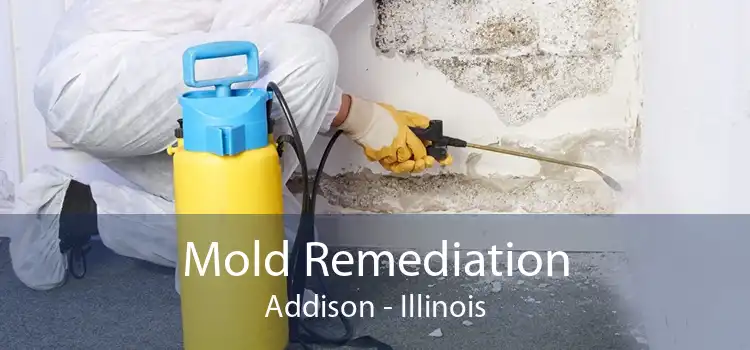 Mold Remediation Addison - Illinois