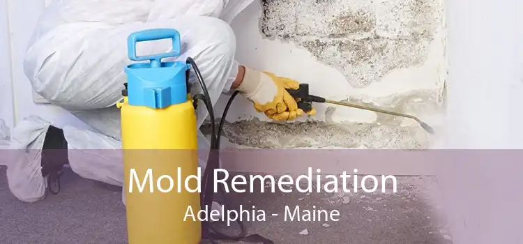 Mold Remediation Adelphia - Maine