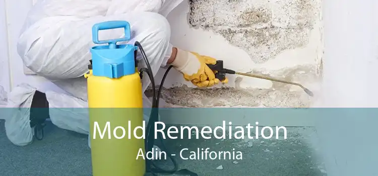 Mold Remediation Adin - California