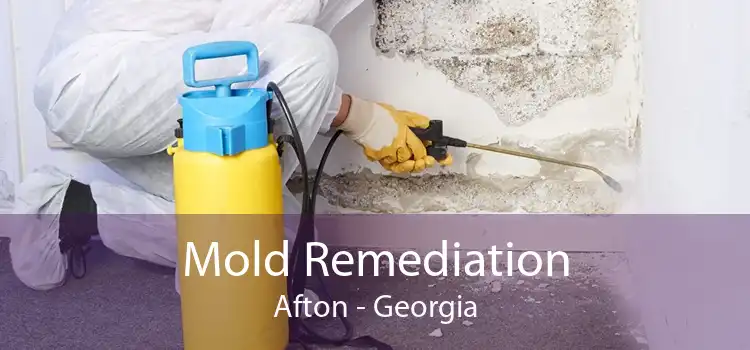 Mold Remediation Afton - Georgia