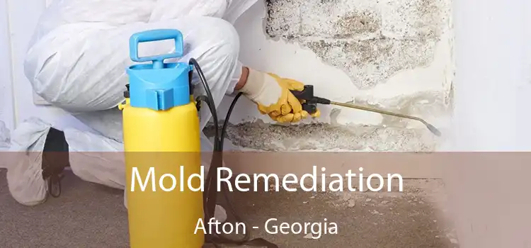 Mold Remediation Afton - Georgia