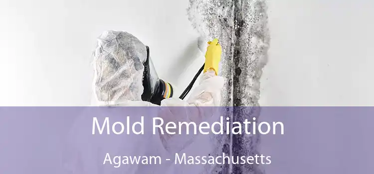 Mold Remediation Agawam - Massachusetts