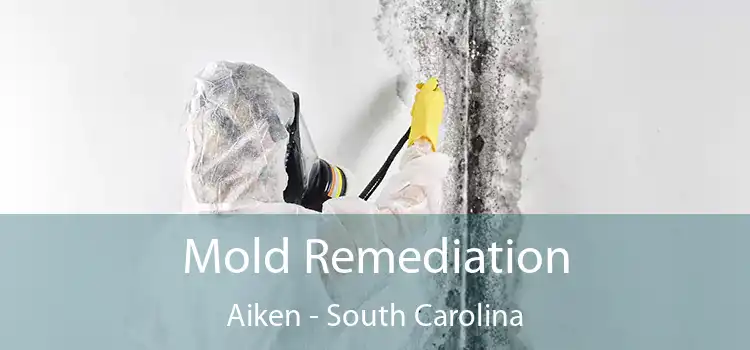 Mold Remediation Aiken - South Carolina