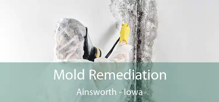 Mold Remediation Ainsworth - Iowa