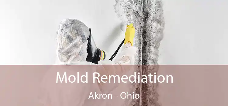 Mold Remediation Akron - Ohio