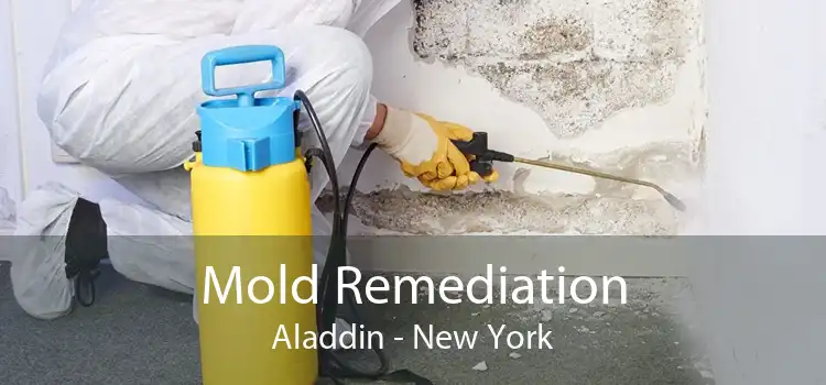 Mold Remediation Aladdin - New York
