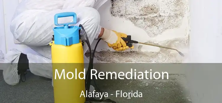 Mold Remediation Alafaya - Florida