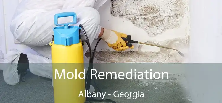 Mold Remediation Albany - Georgia