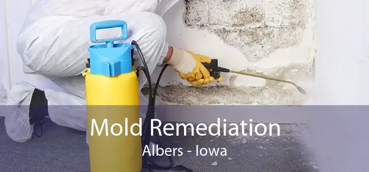 Mold Remediation Albers - Iowa
