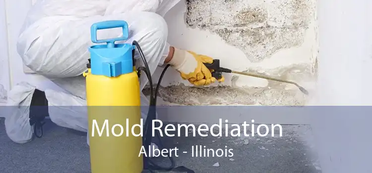 Mold Remediation Albert - Illinois