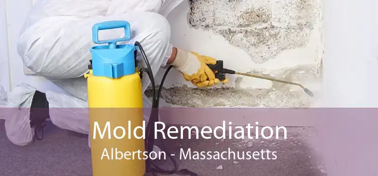 Mold Remediation Albertson - Massachusetts