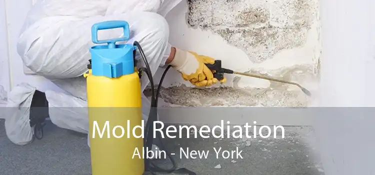 Mold Remediation Albin - New York