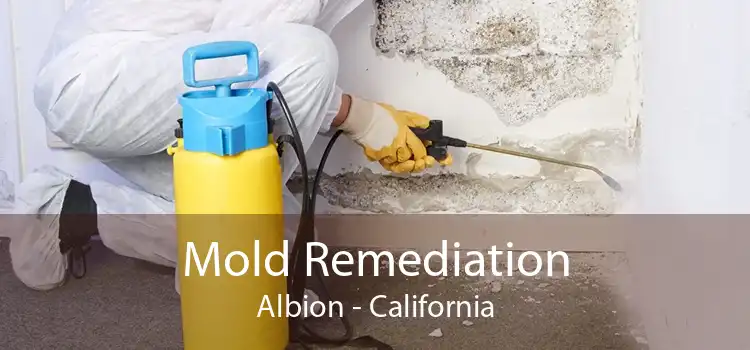 Mold Remediation Albion - California