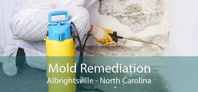 Mold Remediation Albrightsville - North Carolina